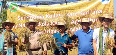 MAPPF-JICA Kolleta haré éktare 1 iha Maliana