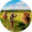 Diresaun Geral Agricultura